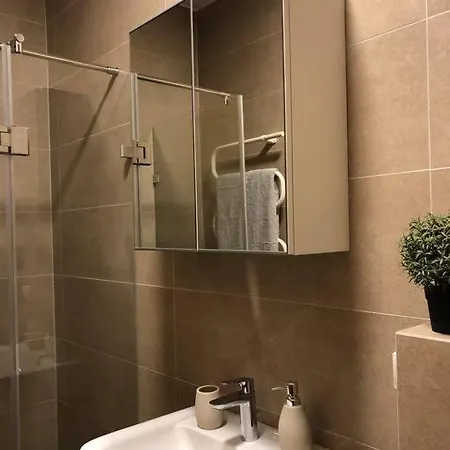V71a Kauno Centre Apartment