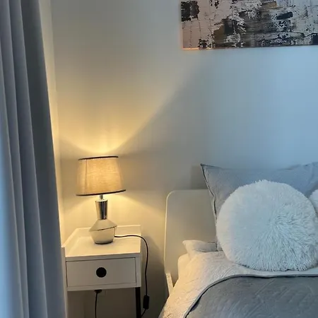 V71a Kauno Centre شقة كاوناس