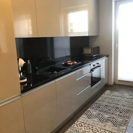 V71a Kauno Centre Apartmán Kaunas