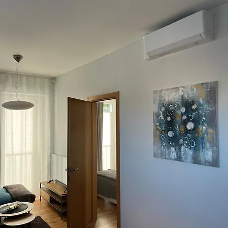 V71a Kauno Centre Apartment Kaunas