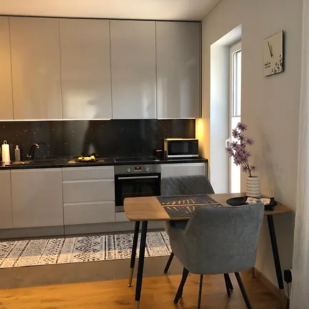 Apartment V71a Kauno Centre