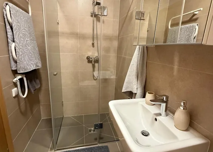 V71a Kauno Centre Apartmán Kaunas